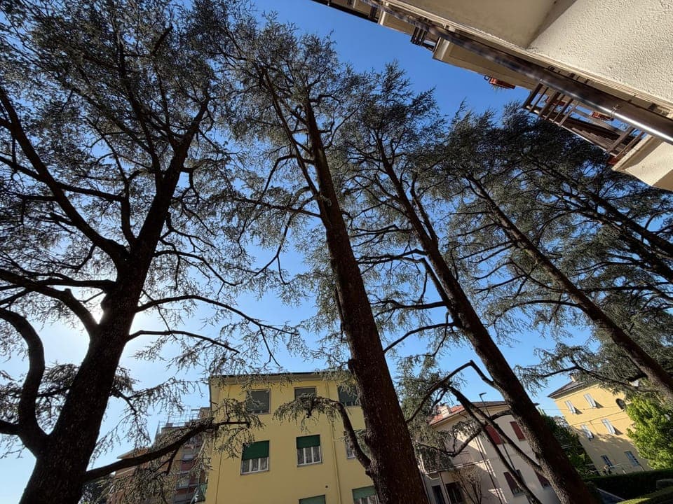 Puccini Luxury Rooms Bed and Breakfast in Lucca