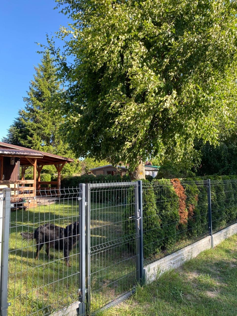Property building, Facade/entrance, Garden, Garden view