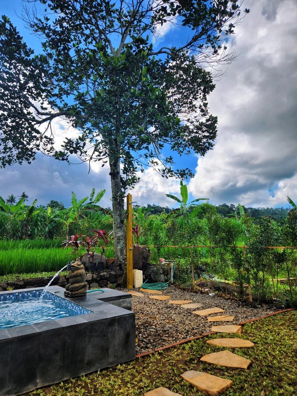 Garden view, Pool view