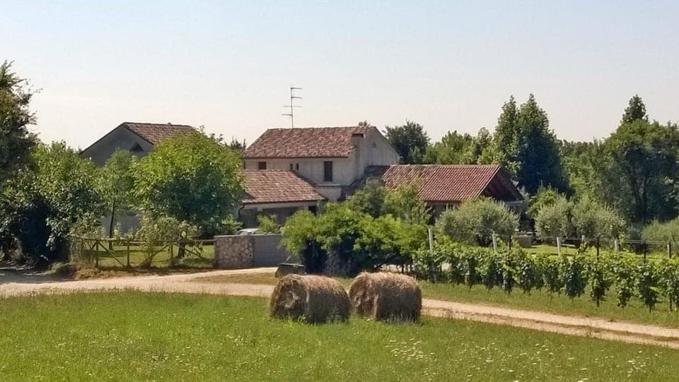 Property building, Garden, Garden