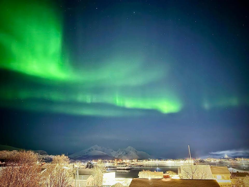 Off site, Night, Winter, Seasons, Location