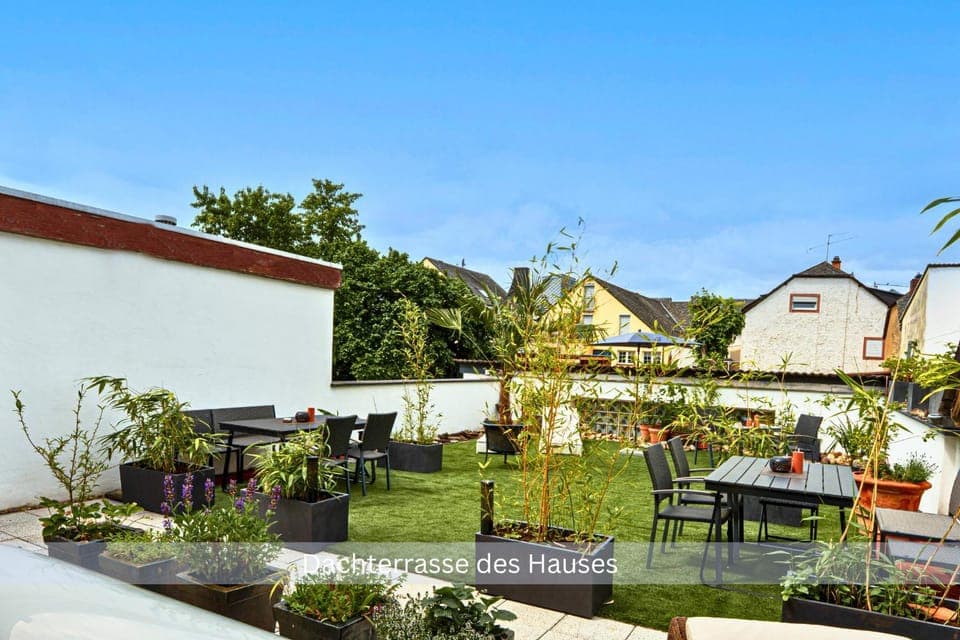 Day, Garden view, sunbed