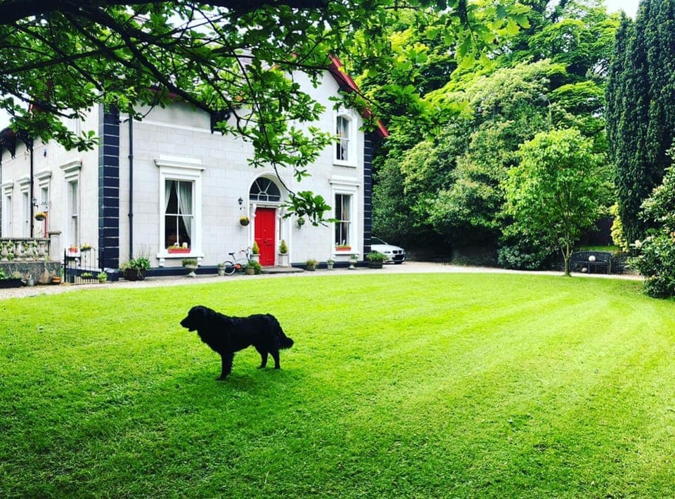 Property building, Facade/entrance, Garden, Garden, Pets, Garden view