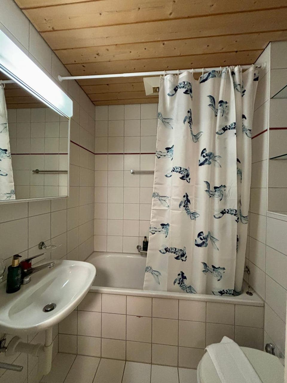 Shower, Toilet, Bathroom, Bath