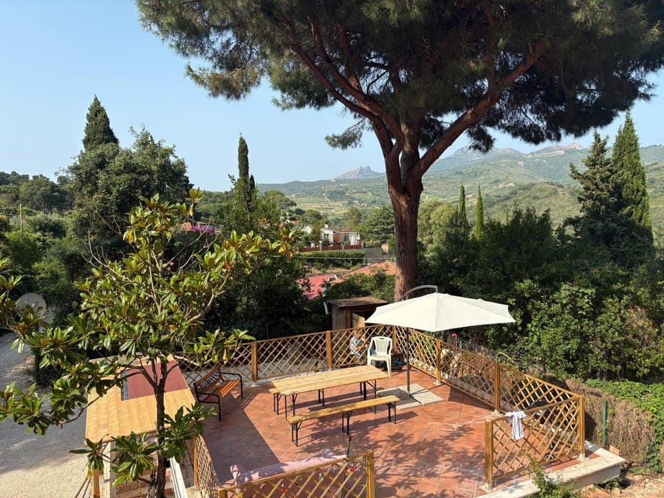 Garden, Mountain view