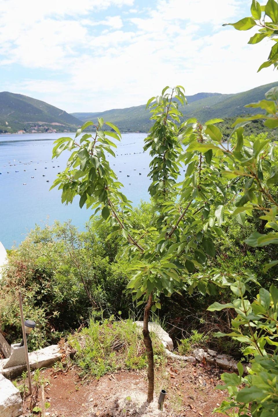 Location, children, Family