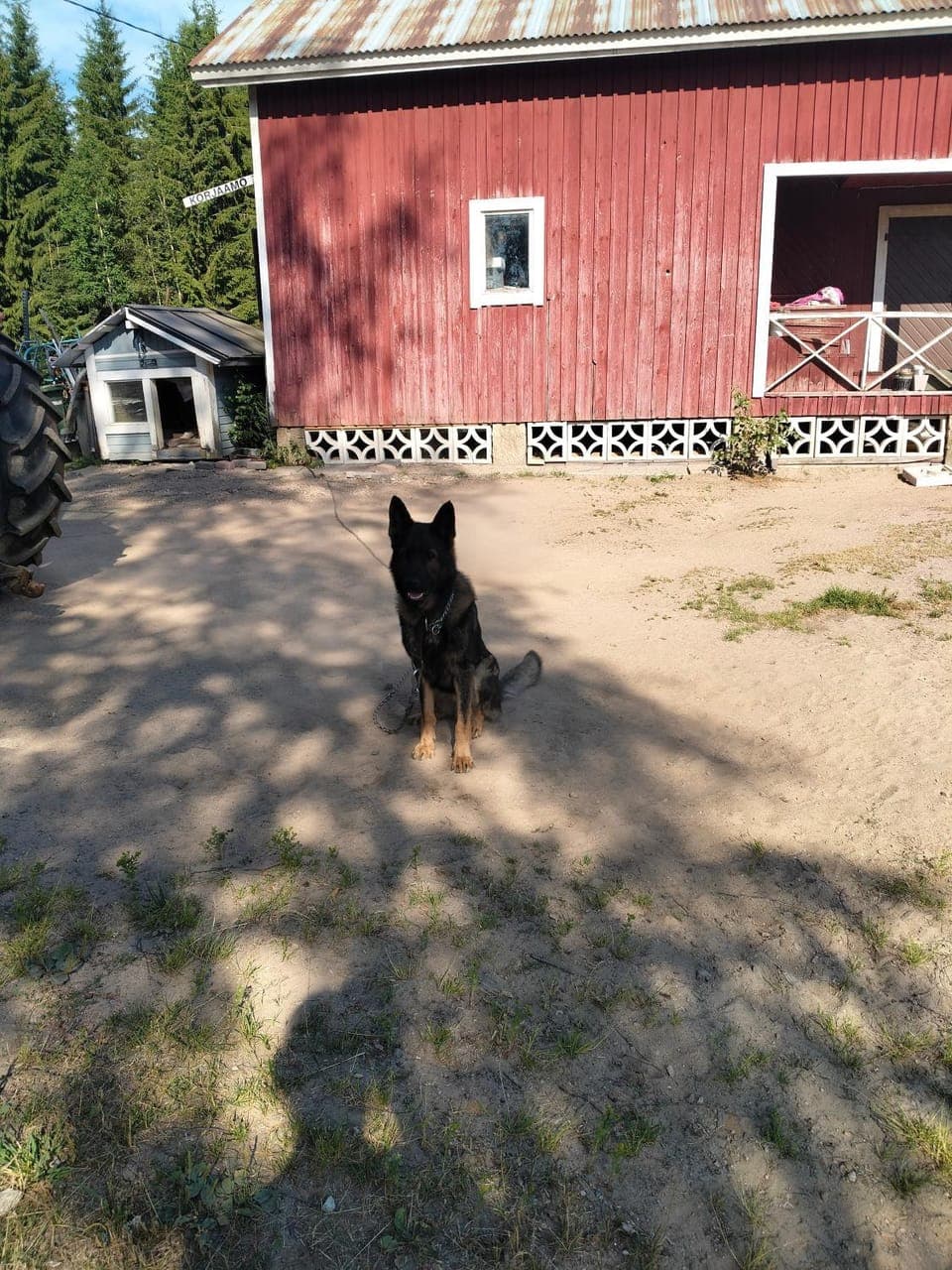 Sammalinen Farm Stay in Finland