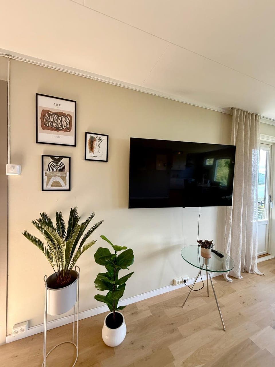 TV and multimedia