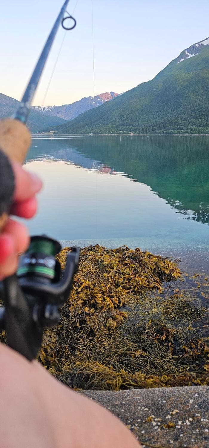 Fishing