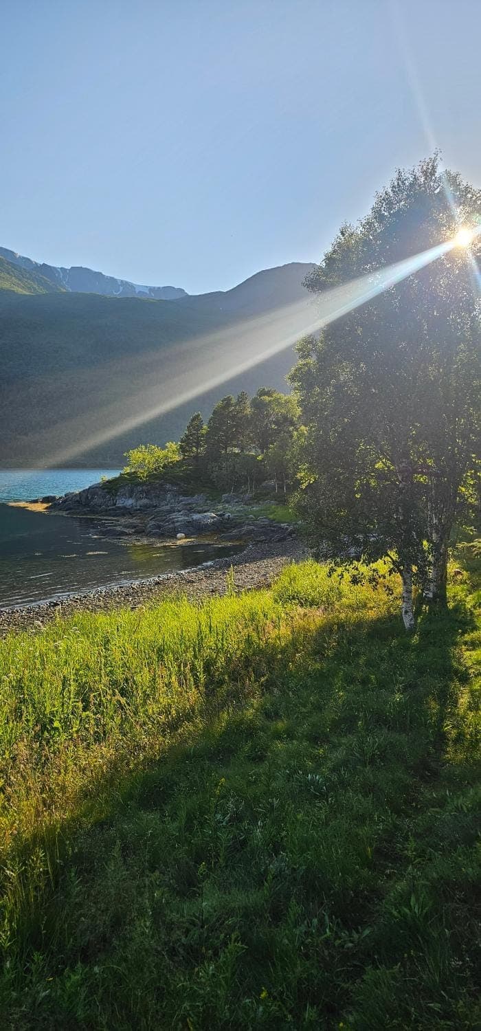Fredbo Nature lodge in Nordland, Norway