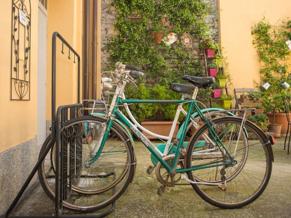 Patio, Garden, Balcony/Terrace