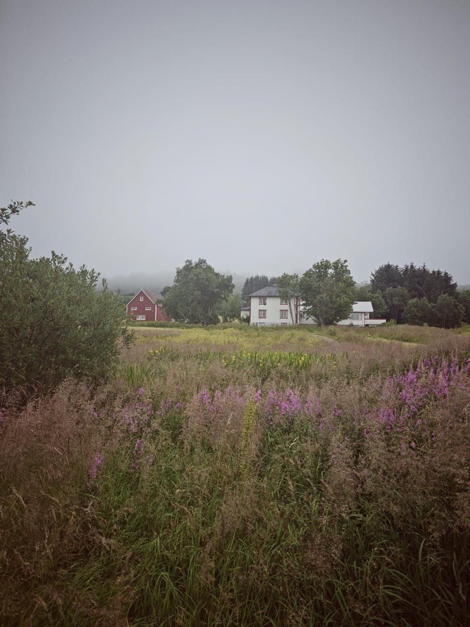 Property building, Natural landscape