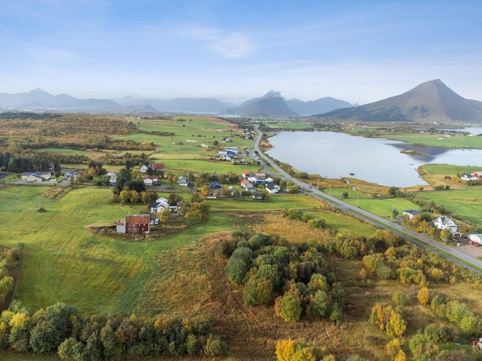 Neighbourhood, Bird's eye view