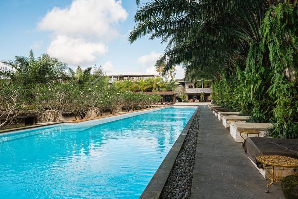 Garden, Swimming pool, Swimming pool