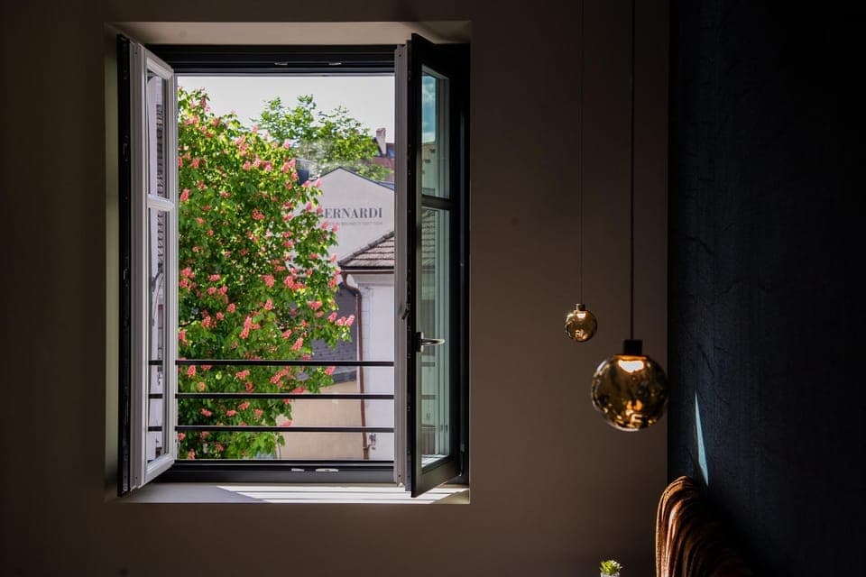 View (from property/room)