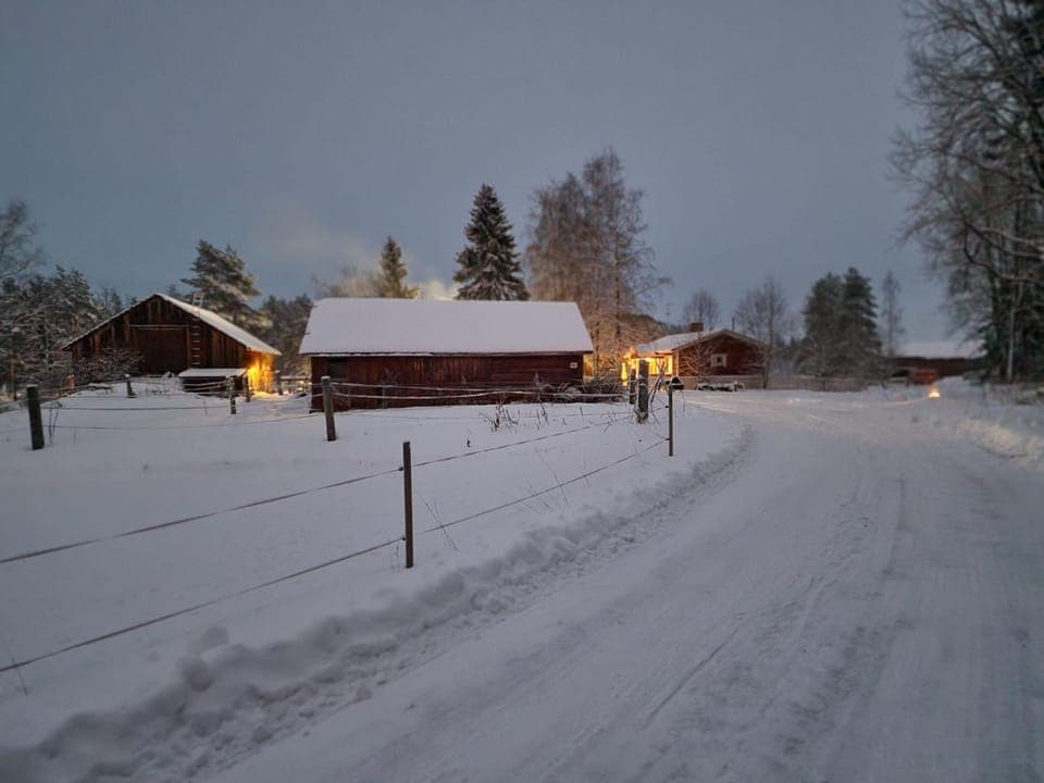 Natural landscape, Winter