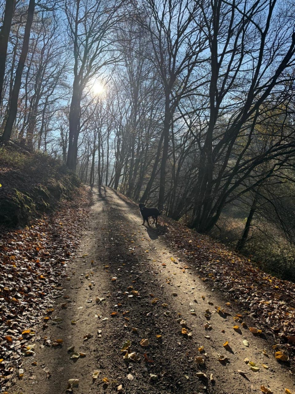 Neighbourhood, Natural landscape