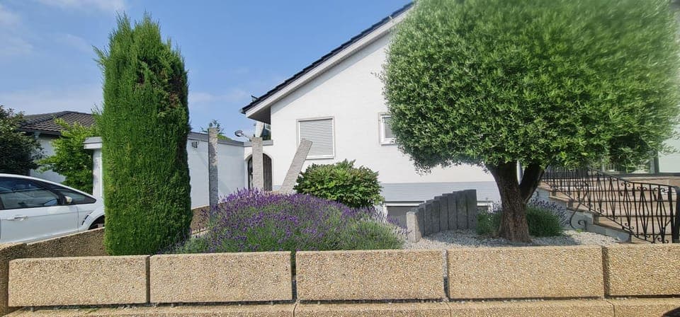 Property building, Spring, Day, Garden, Garden view, Parking
