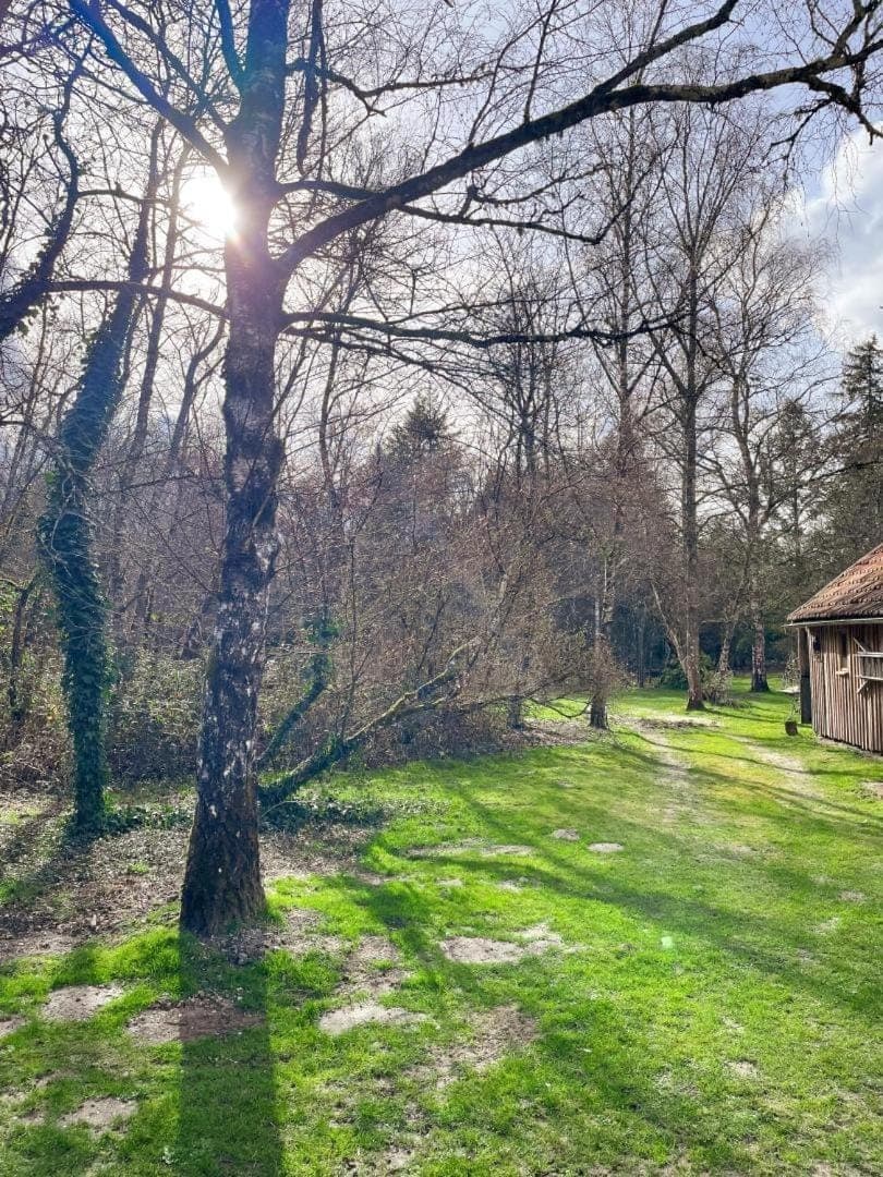 Spring, Natural landscape, Garden, On site, Seasons, Time of day