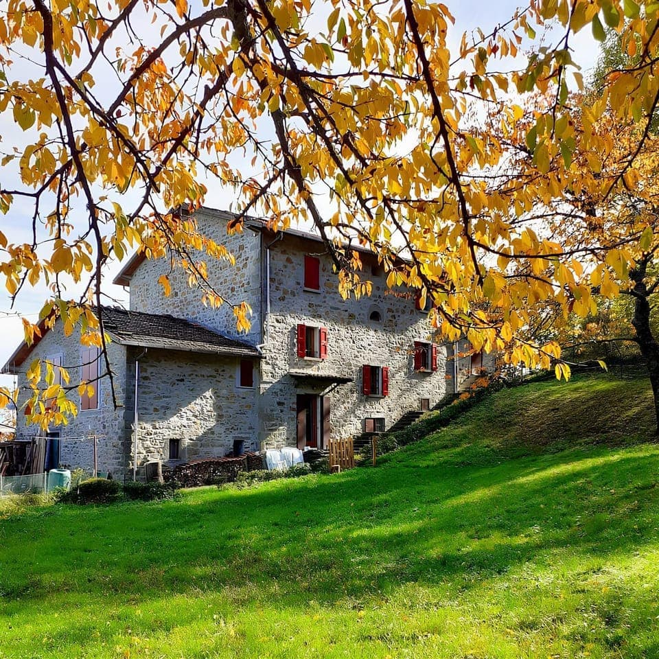Property building, Day, Natural landscape, Garden, Autumn, Garden view