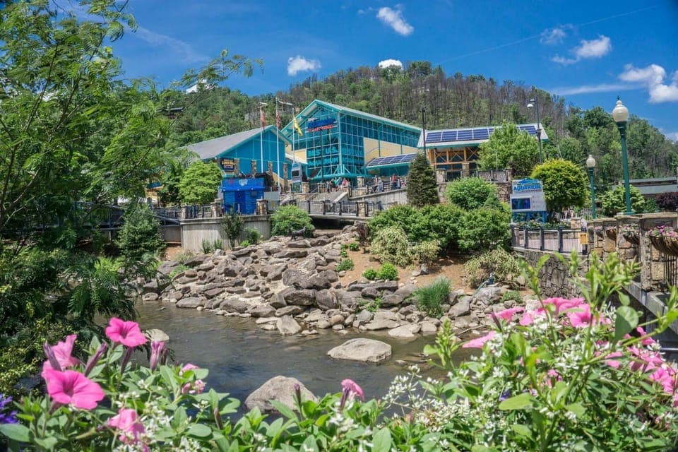 Big Bear Ski Haus by American Patriot Getaways House in Gatlinburg