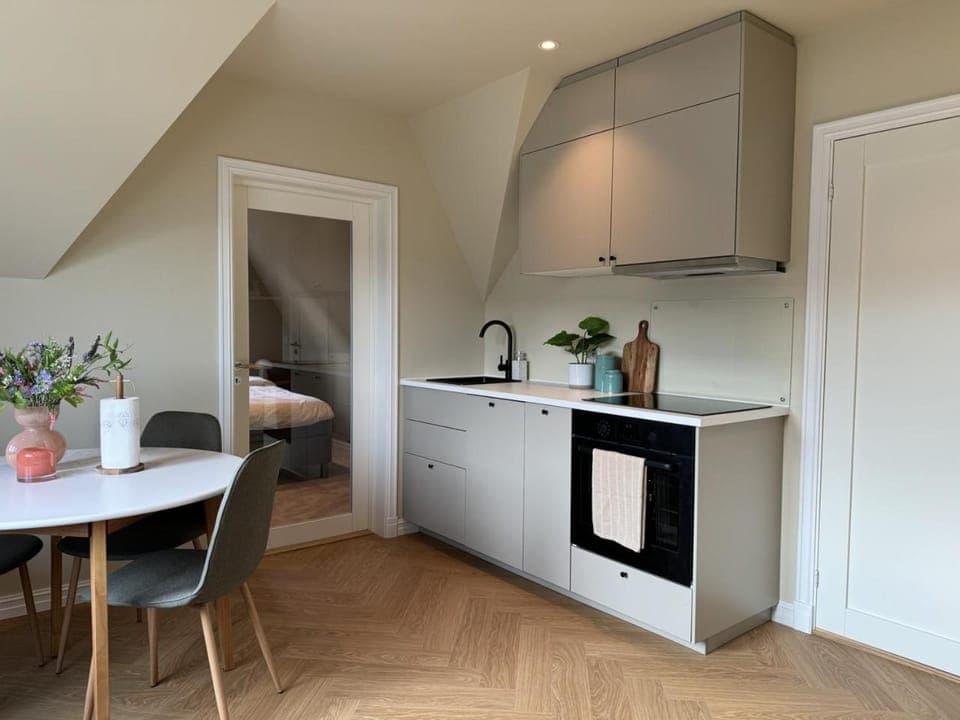 Kitchen or kitchenette, oven, stove