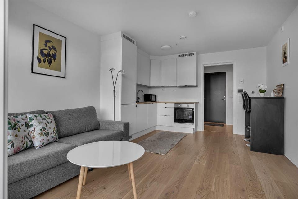 Kitchen or kitchenette, Living room, Seating area, oven, stove