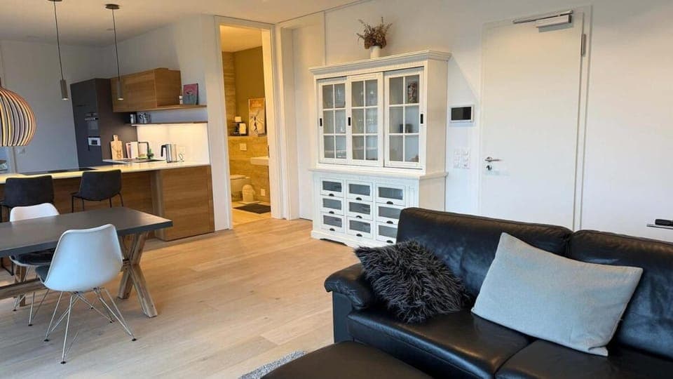 Spacious apartment with lake view and garden Apartment in Zug, Switzerland