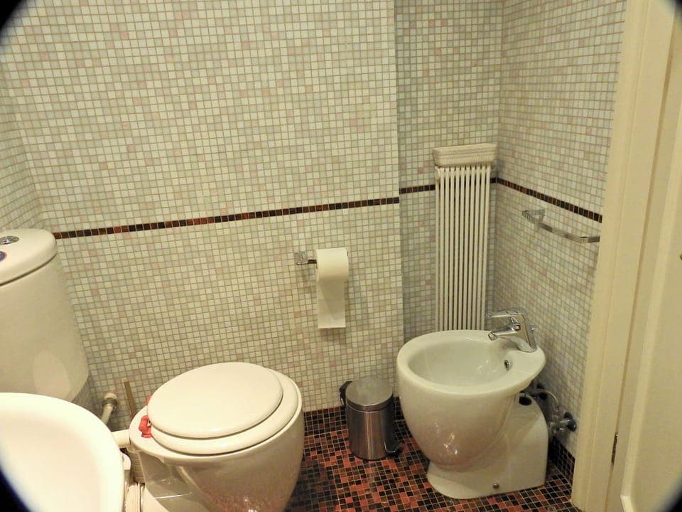 Toilet, bidet