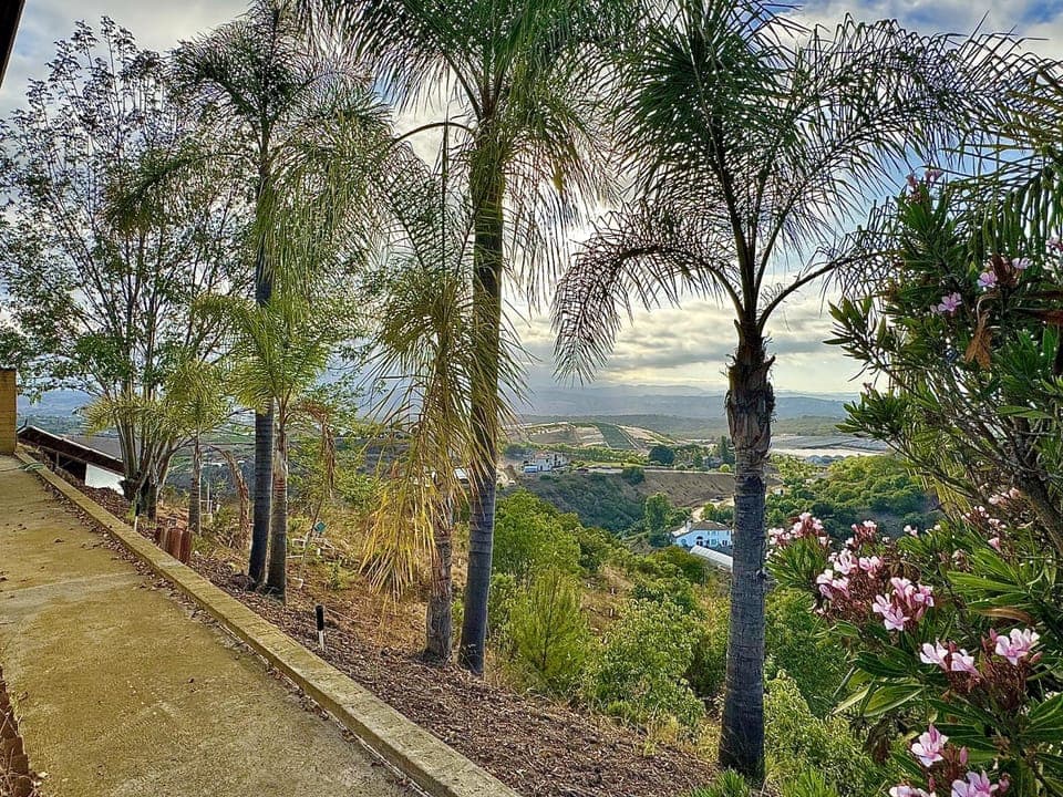 Garden, Balcony/Terrace