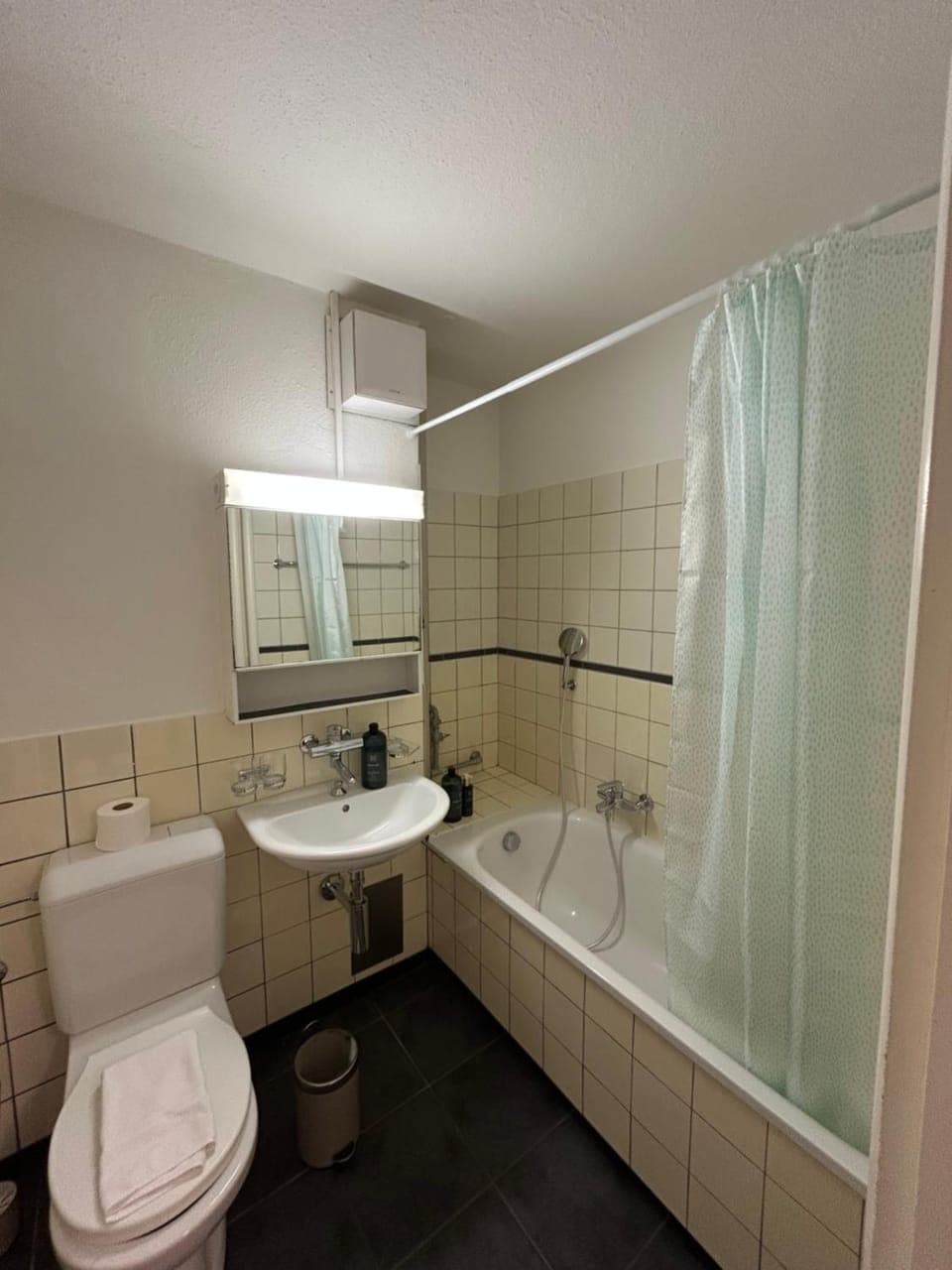 Shower, Toilet, Bathroom, Bath, towels