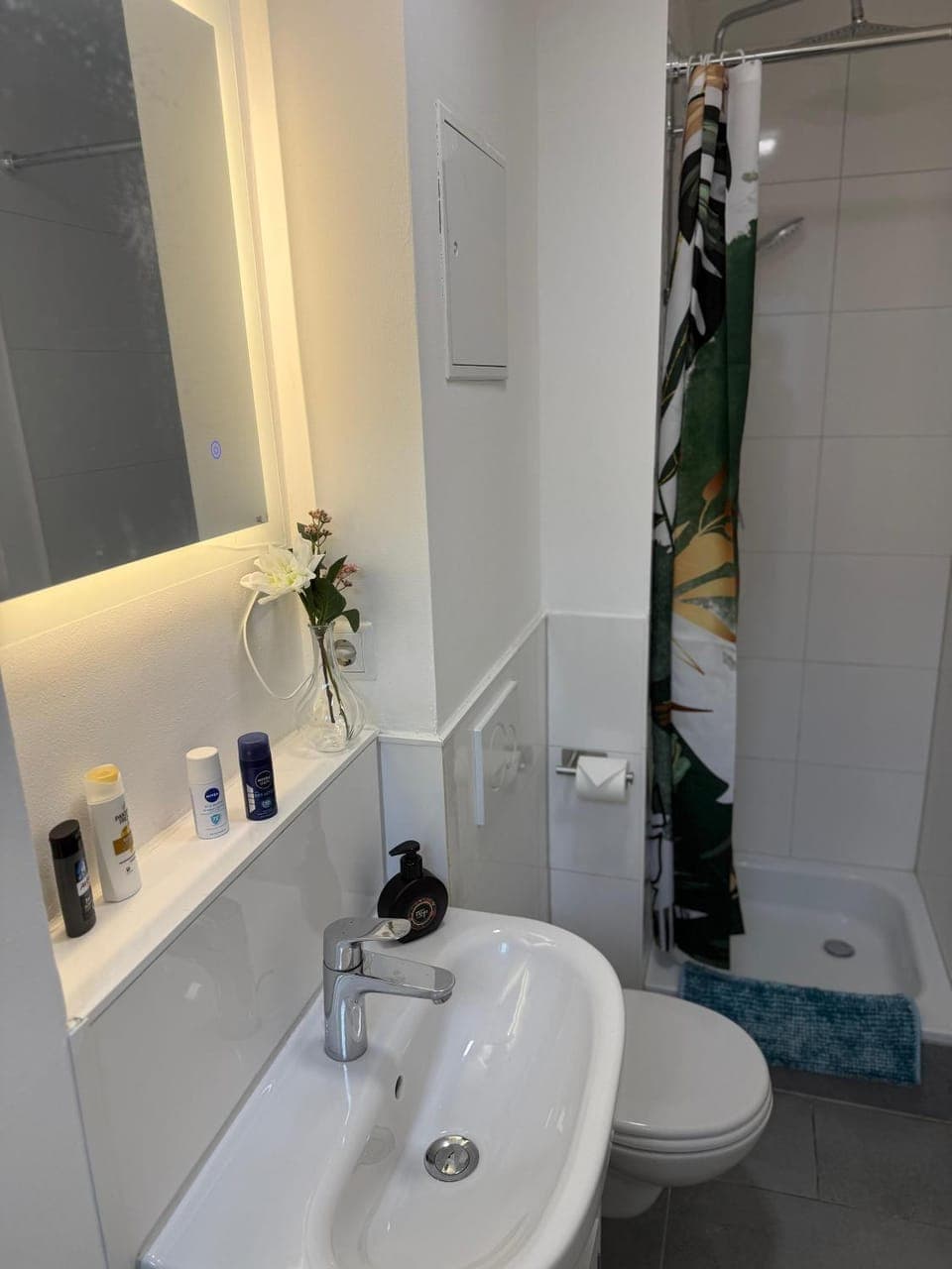 Bathroom, Living room