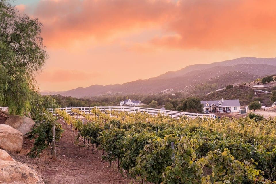 Villa on 5 Acre Vineyard Equestrian Estate, Pool & Hot tub, Events Villa in Wildomar