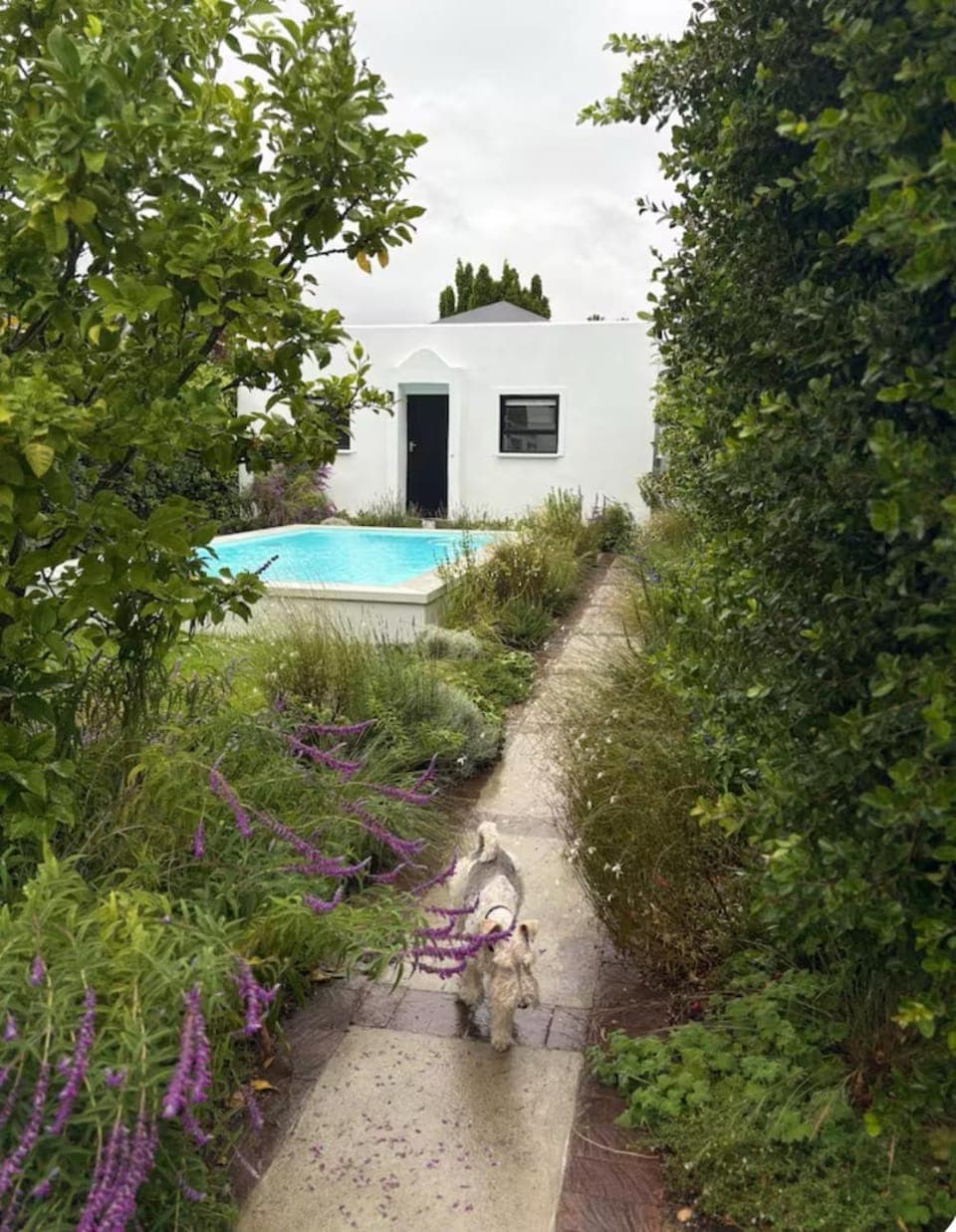Garden view, Pool view