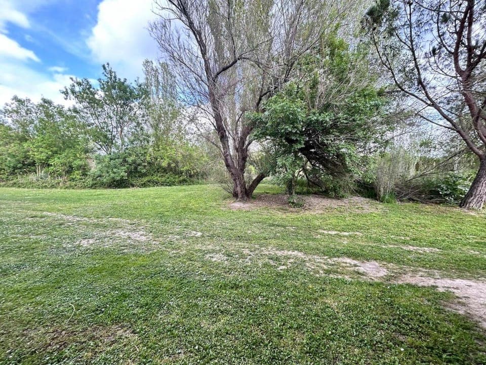Day, Natural landscape, Garden view