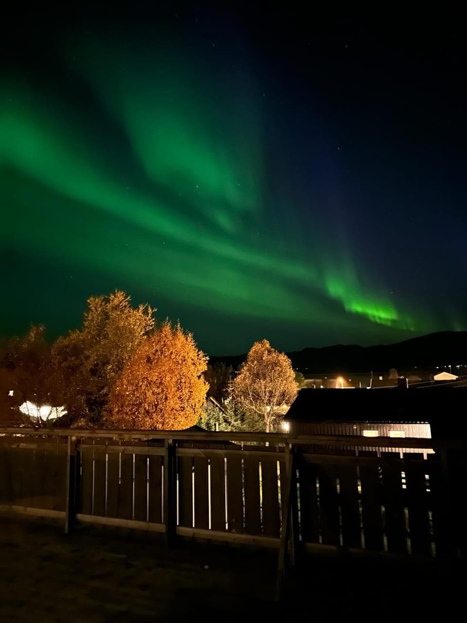 Night, Garden view