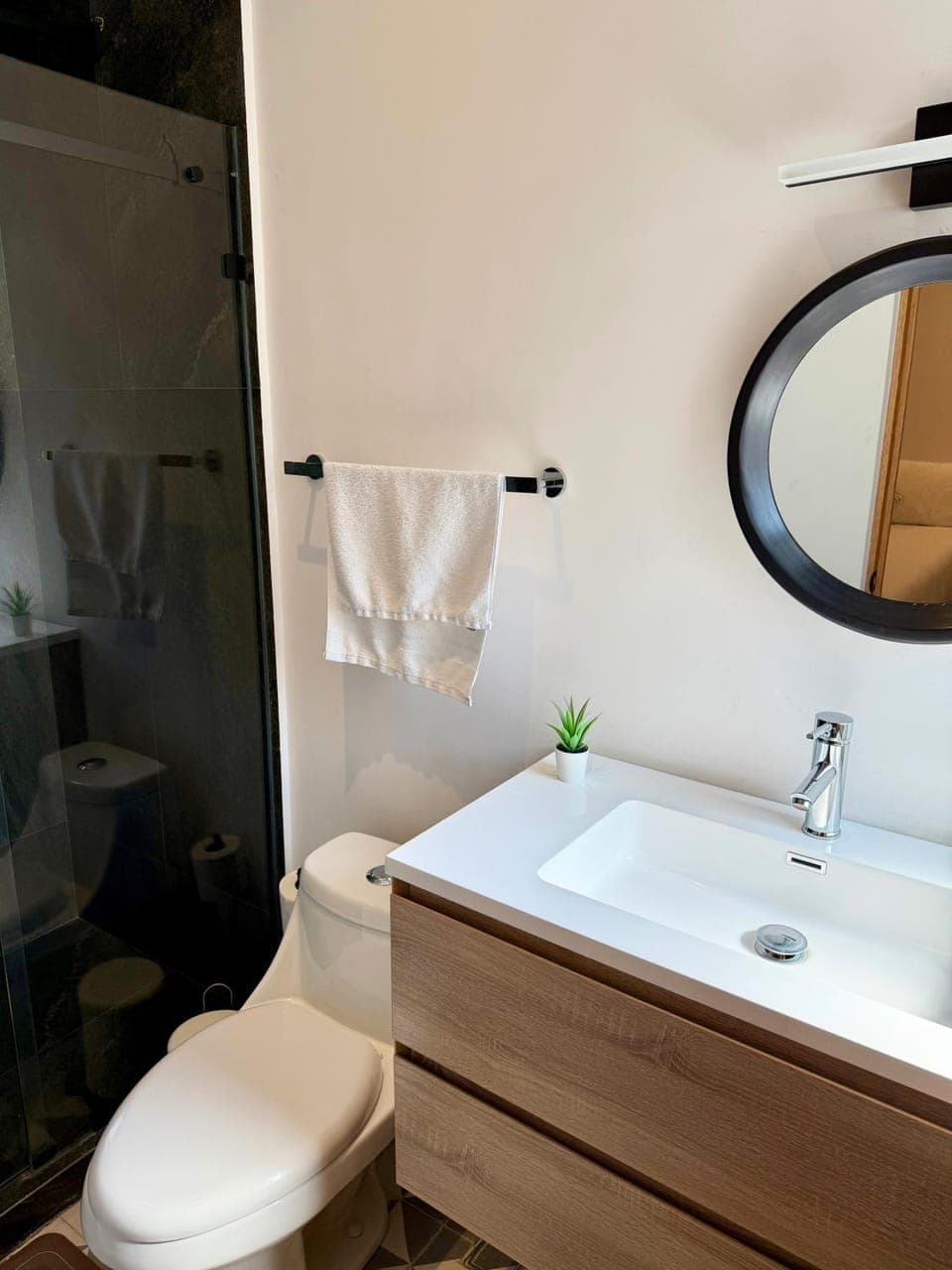 Toilet, Bathroom, towels