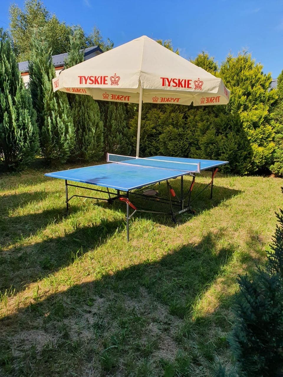 Table tennis