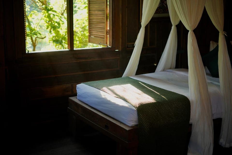 Bedroom, Garden view