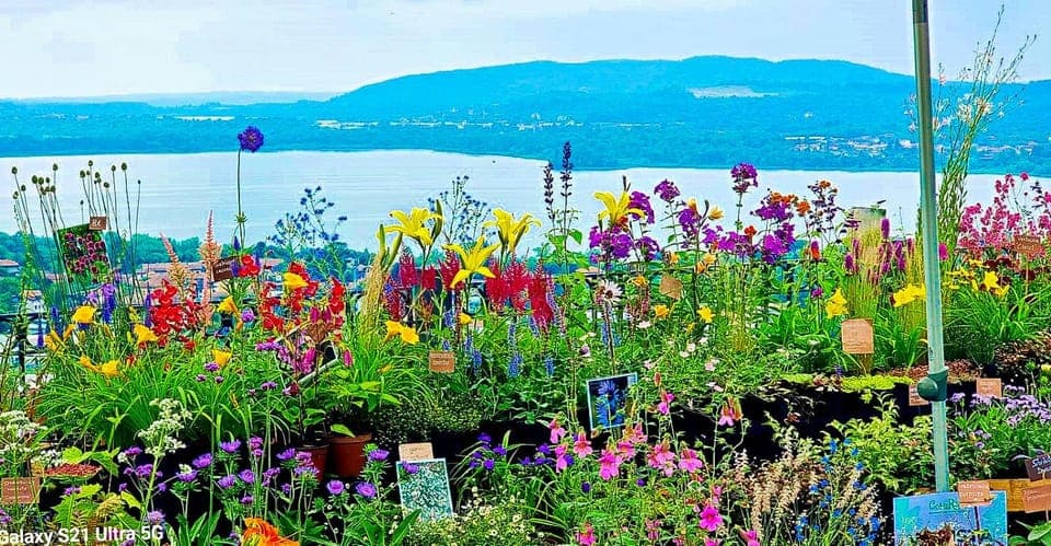 Nearby landmark, Garden, Lake view, Mountain view