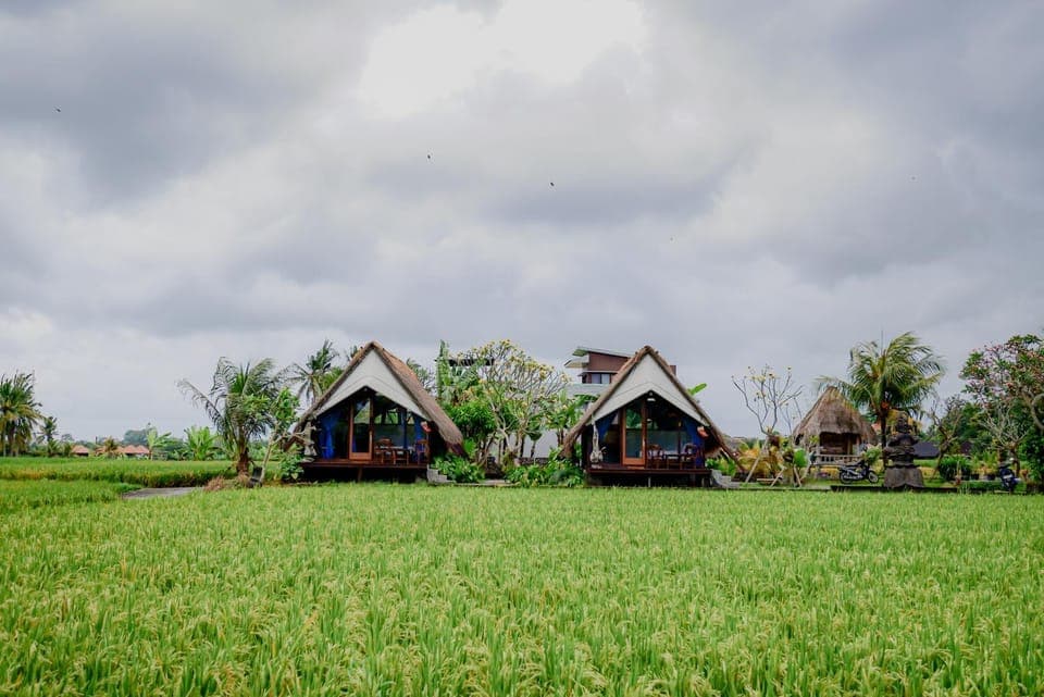 Property building, Spring, Day, Natural landscape, Garden, Garden, Cycling, Garden view