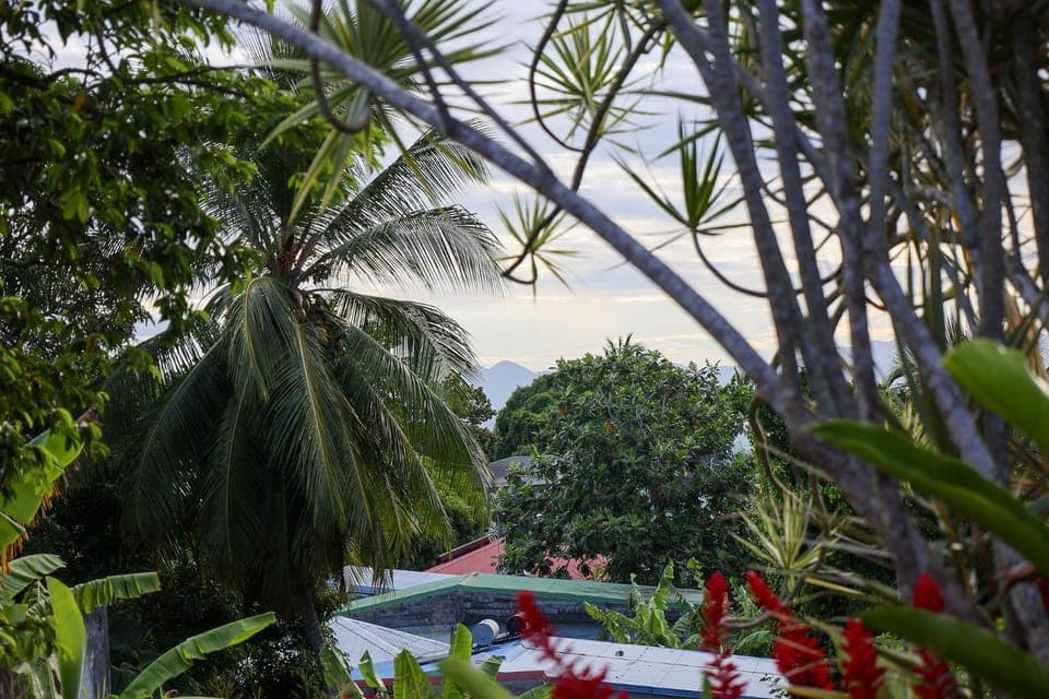 Garden view, Landmark view, Mountain view