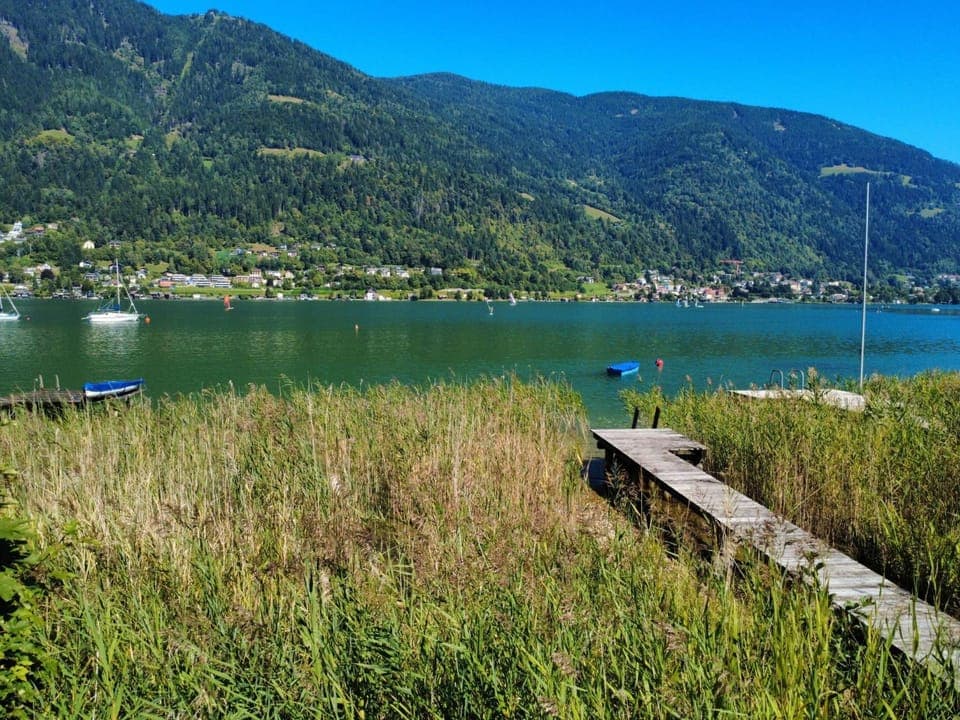 View (from property/room)