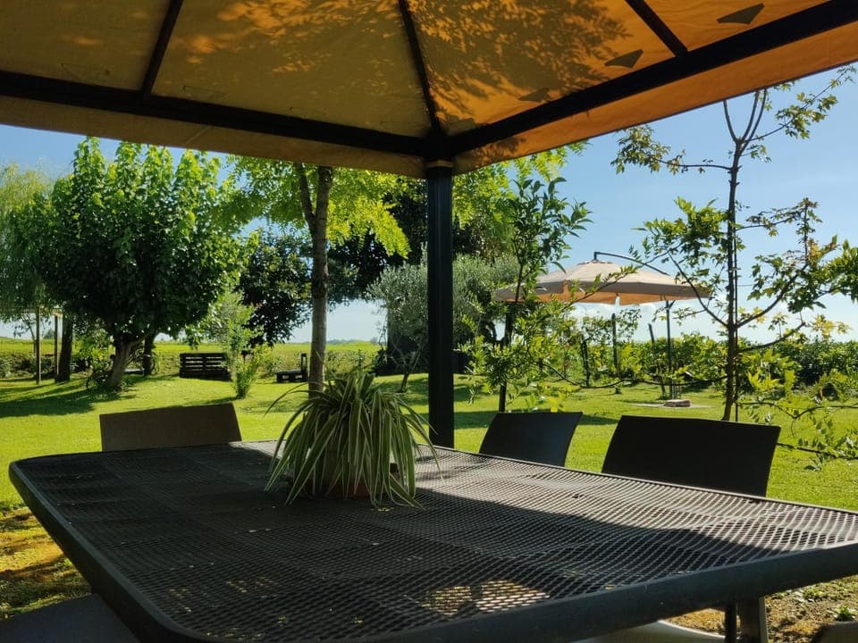 Spring, Day, Natural landscape, Garden, Garden view, River view, Inner courtyard view