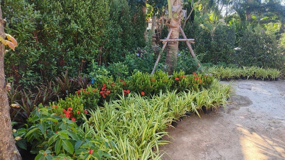 Natural landscape, Garden, Garden view