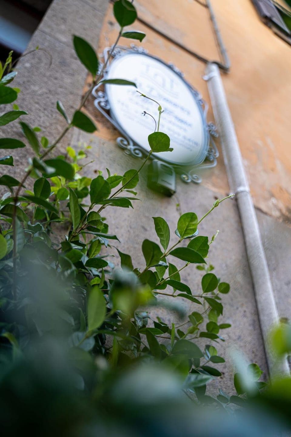 Property building, Property logo or sign