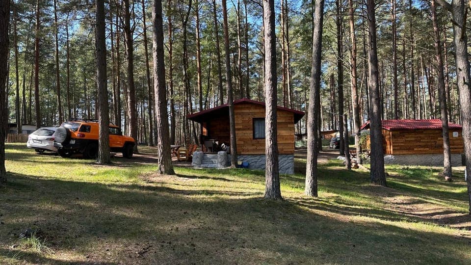 Spring, Day, Natural landscape