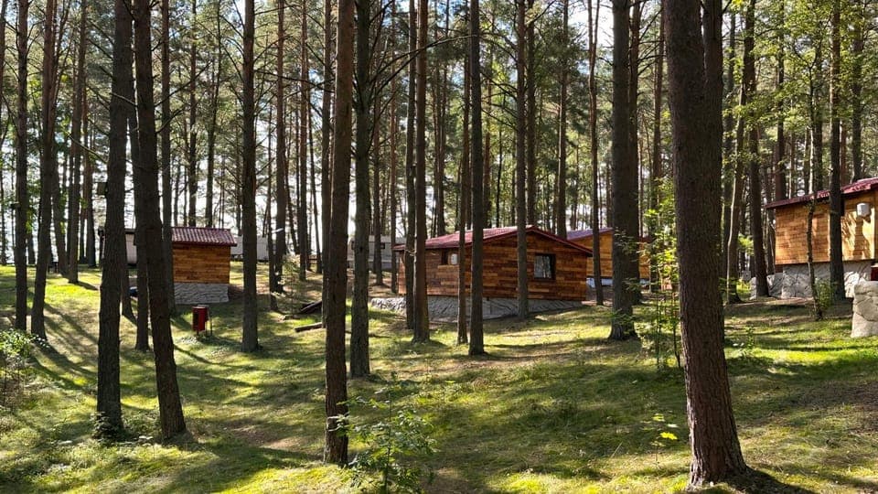 Property building, Spring, Day