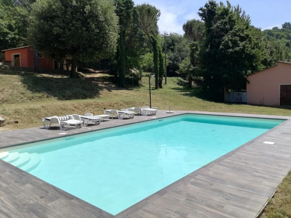 Day, Garden, Garden view, Pool view, Swimming pool