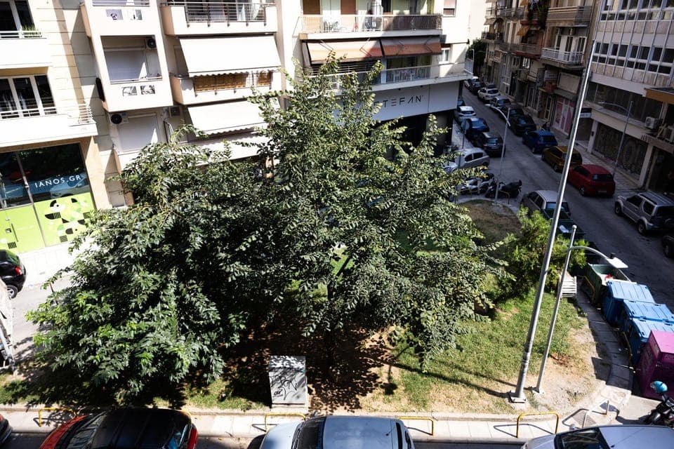 Neighbourhood, Balcony/Terrace, City view, Street view
